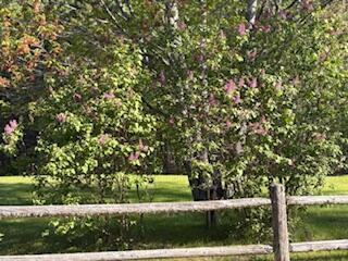 27 Oak Point Road Harrington ME 04643