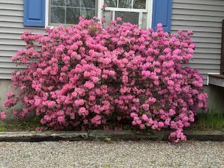 27 Oak Point Road Harrington ME 04643