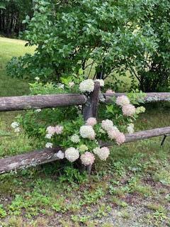 27 Oak Point Road Harrington ME 04643