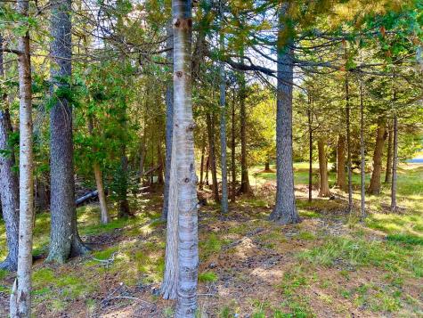 17 Freeman Ridge Road Southwest Harbor ME 04679