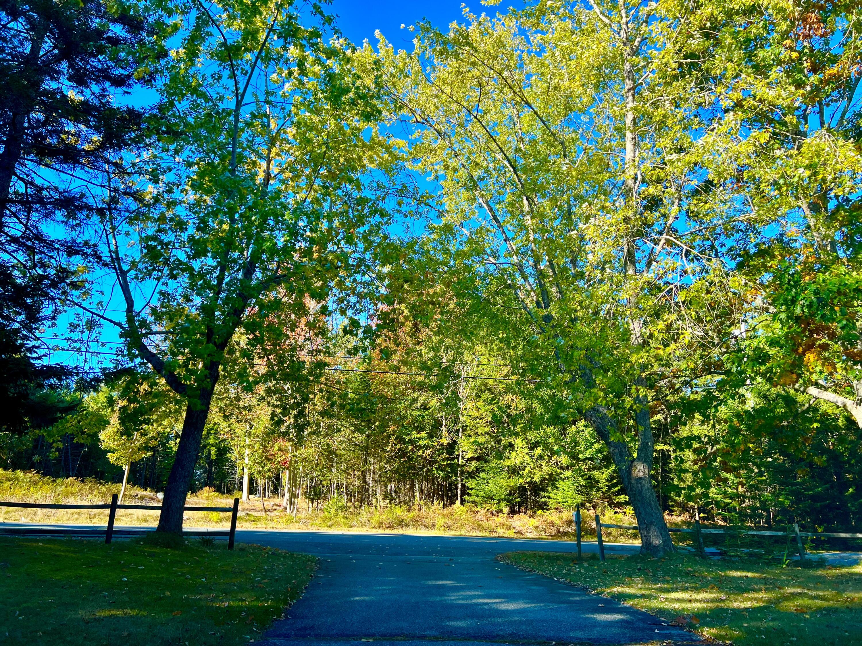 17 Freeman Ridge Road Southwest Harbor ME 04679