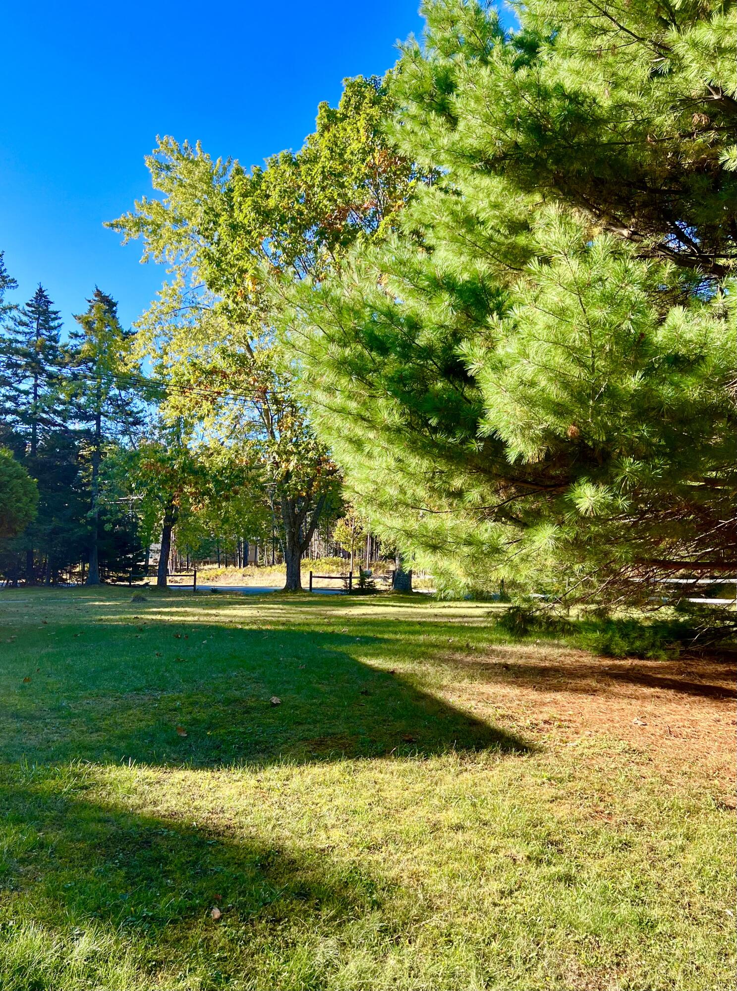 17 Freeman Ridge Road Southwest Harbor ME 04679