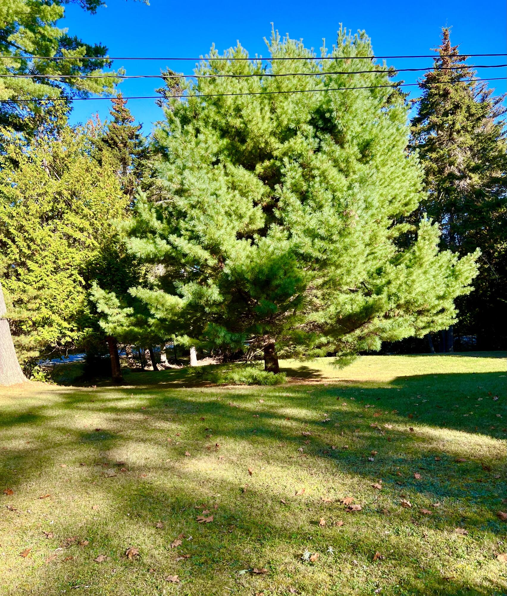 17 Freeman Ridge Road Southwest Harbor ME 04679