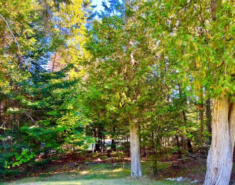 17 Freeman Ridge Road Southwest Harbor ME 04679