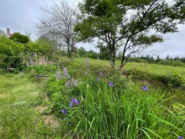 12 Masonic Lane Pembroke ME 04666