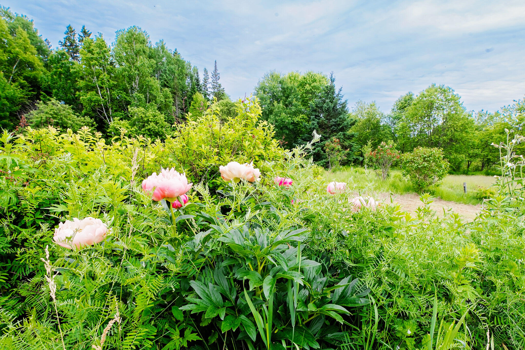 110 Narrow Gauge Road Coplin Plt ME 04982