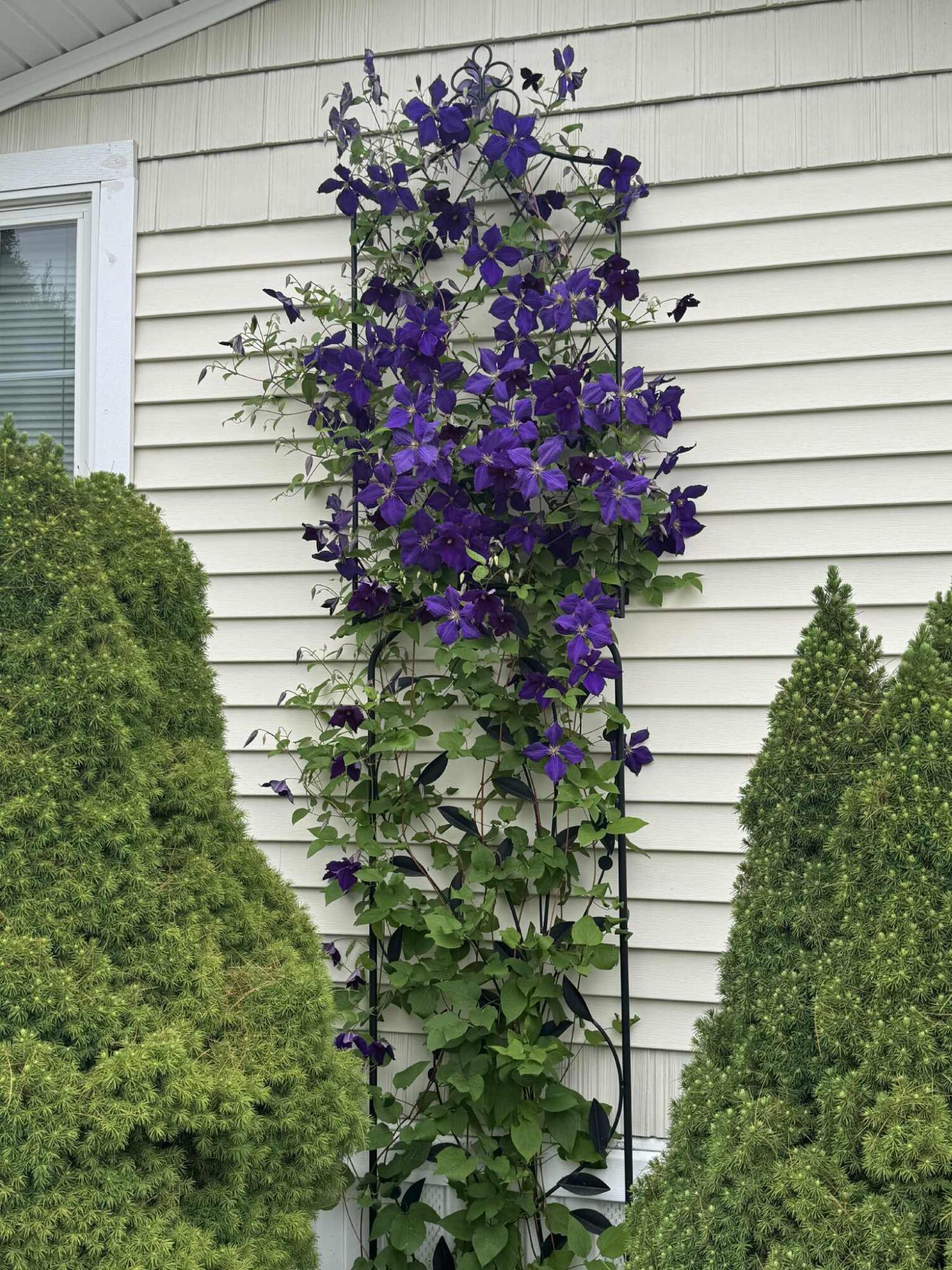 2161 Lisbon Road Lewiston ME 04240