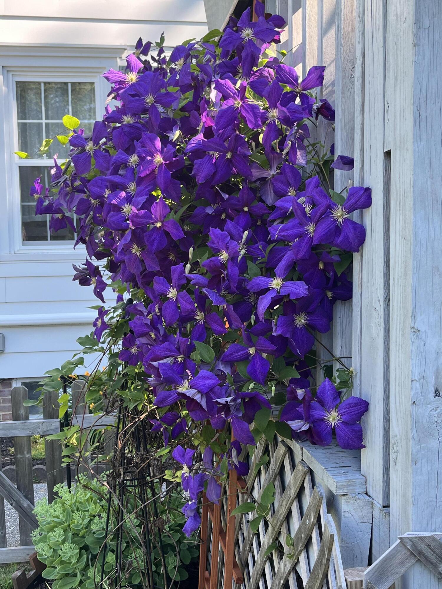 278 S Main Street Auburn ME 04210