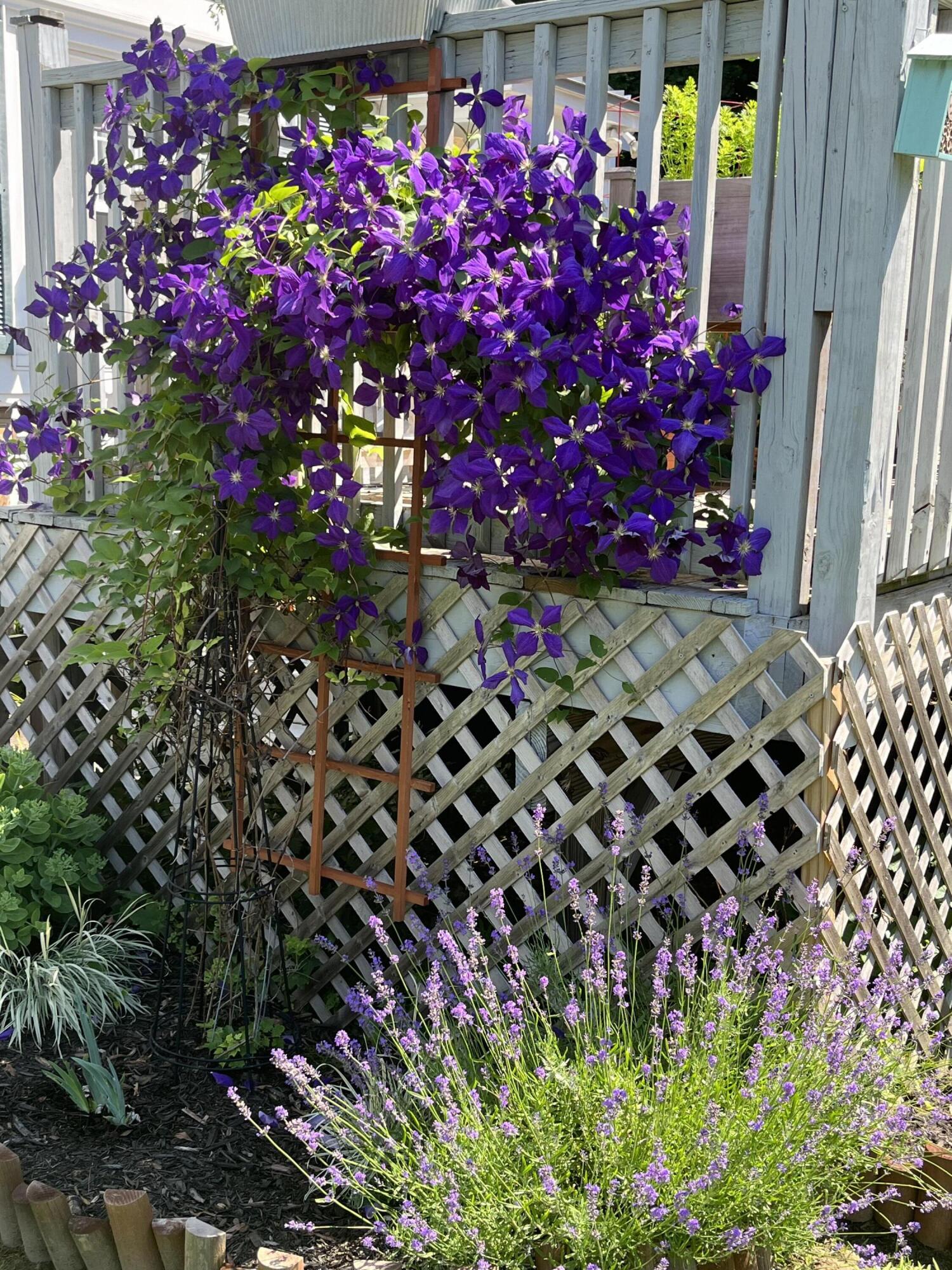 278 S Main Street Auburn ME 04210