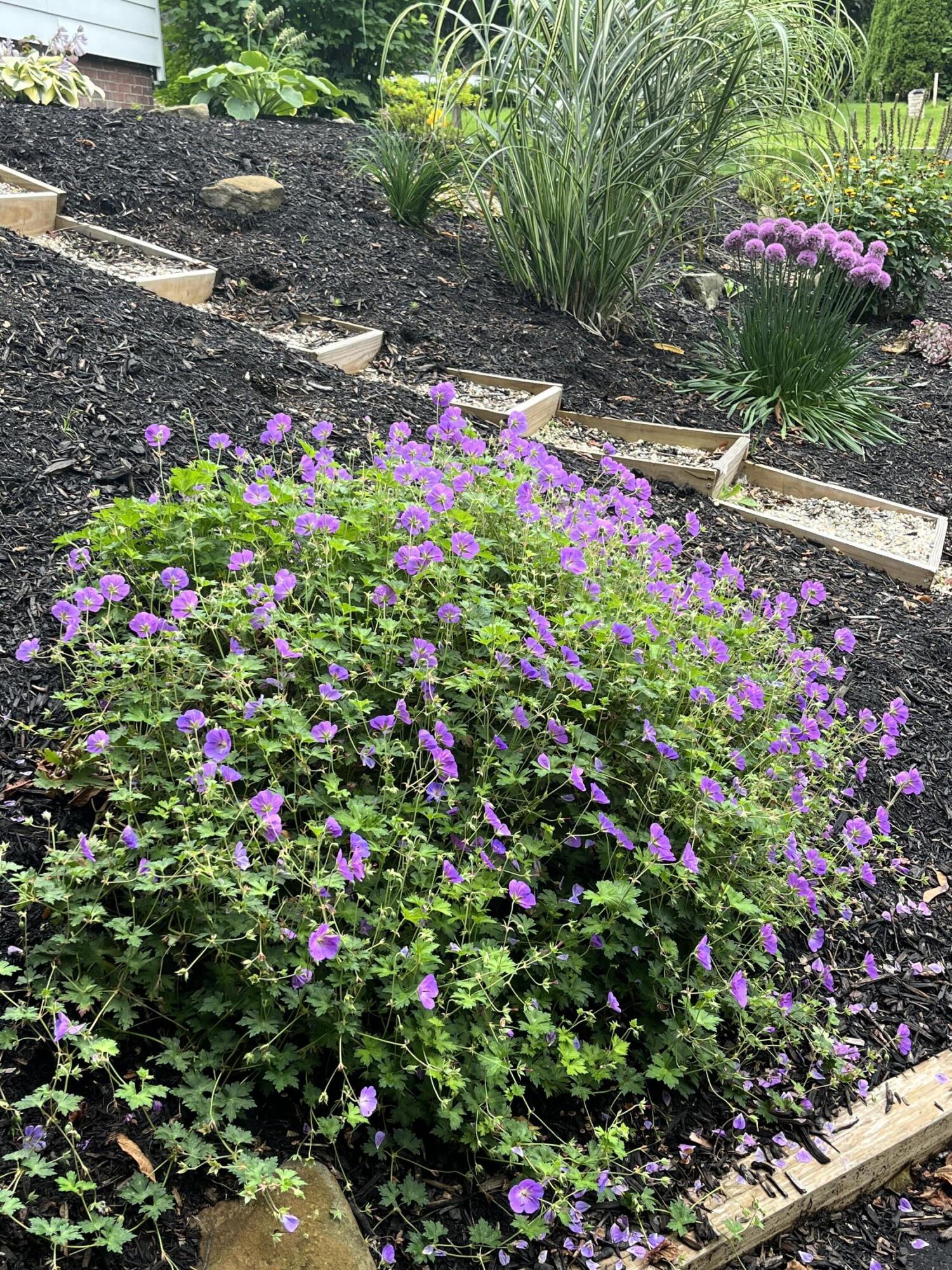 278 S Main Street Auburn ME 04210