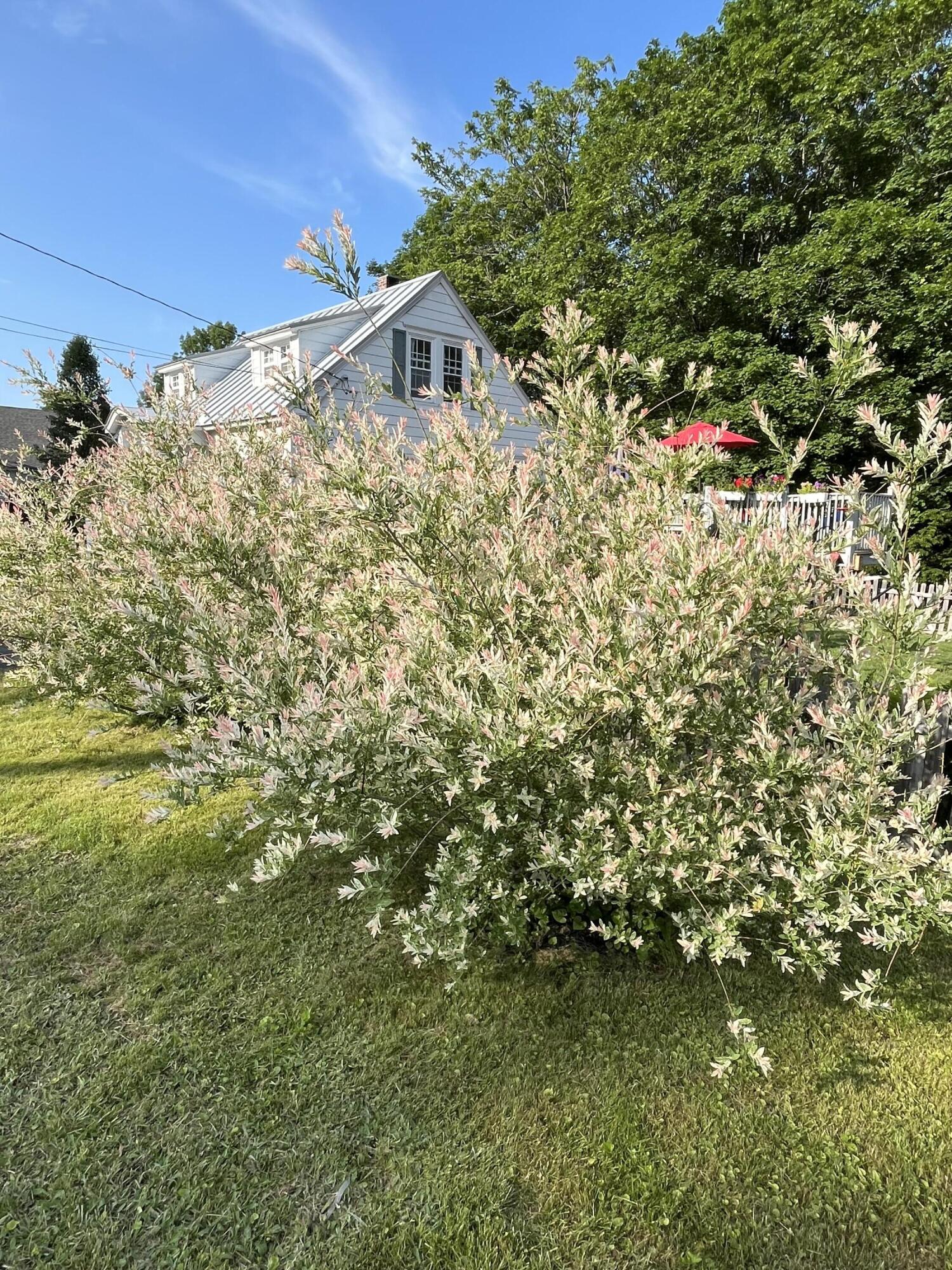 278 S Main Street Auburn ME 04210