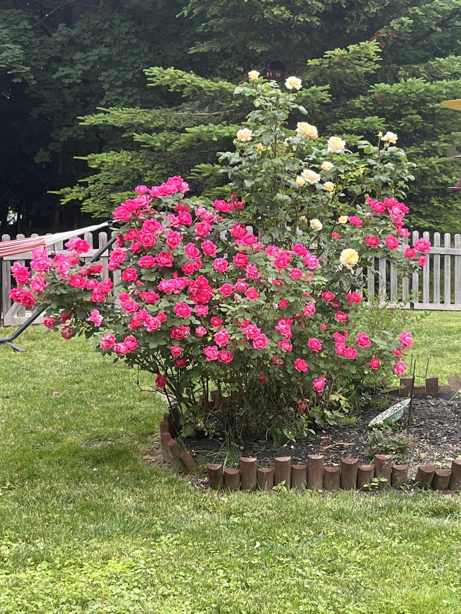 278 S Main Street Auburn ME 04210