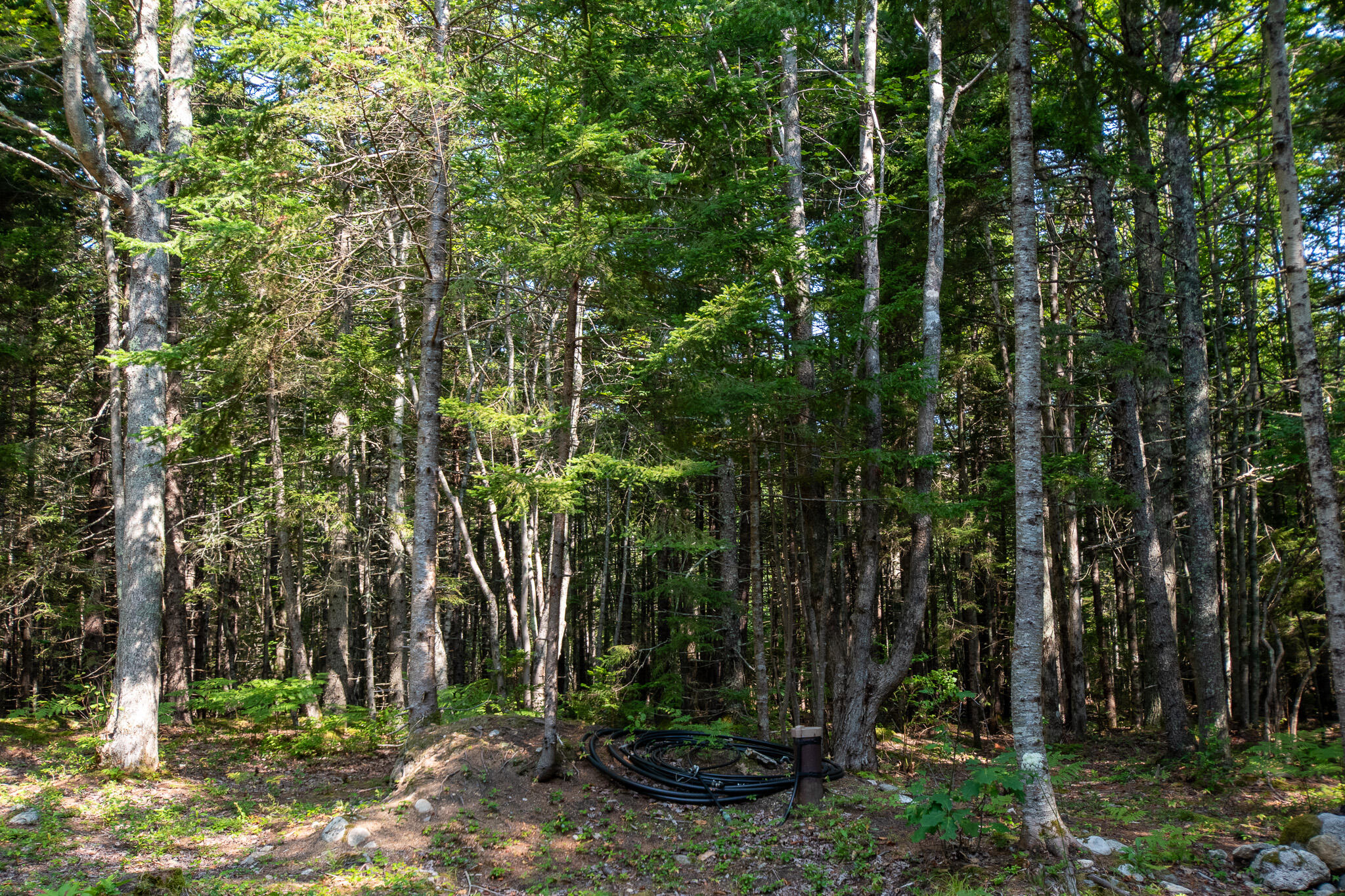 14 Pinkie Lane Southport ME 04576