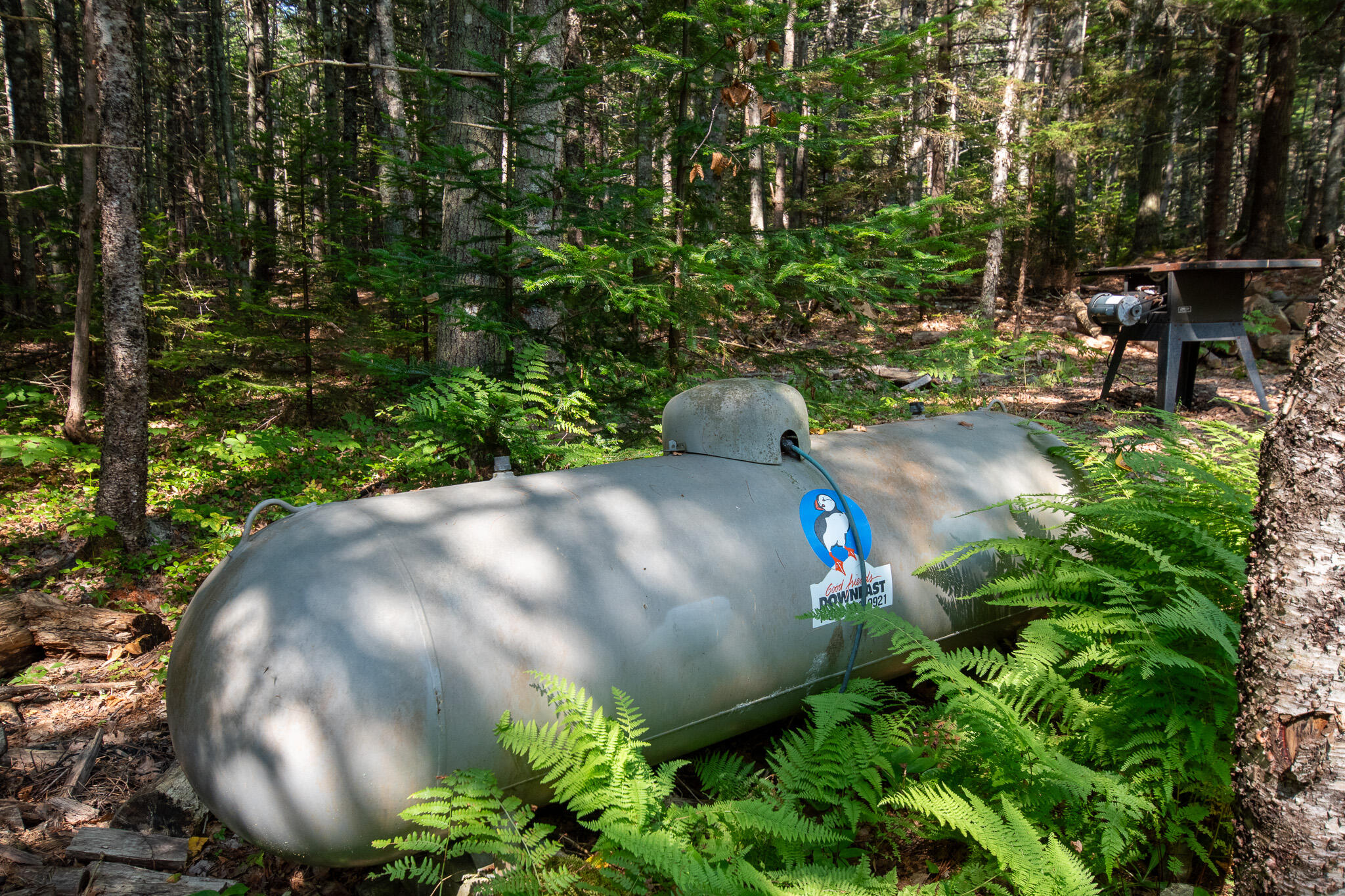 14 Pinkie Lane Southport ME 04576