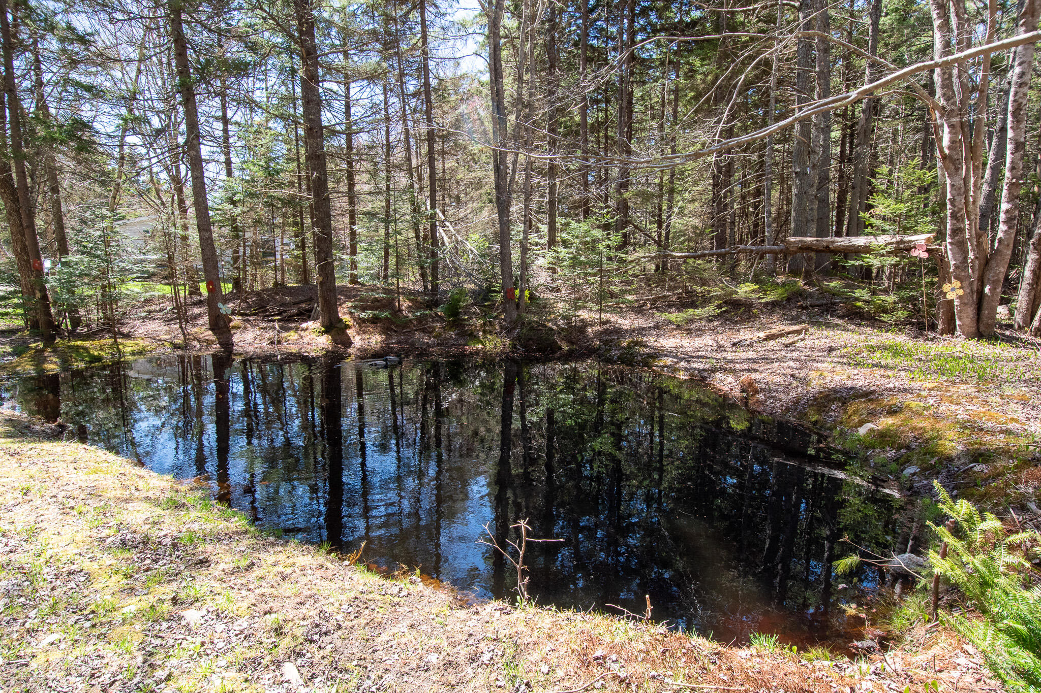 14 Pinkie Lane Southport ME 04576