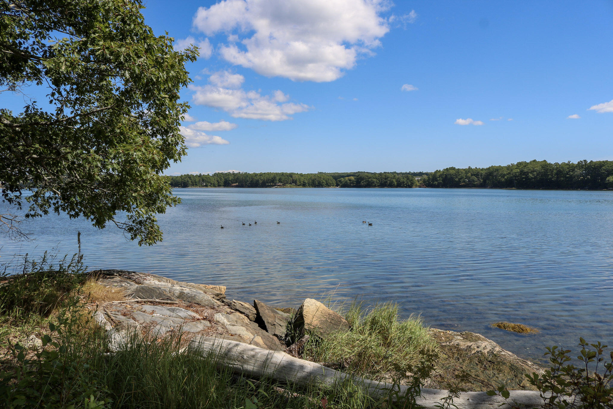 295 Mills Road Newcastle ME 04553