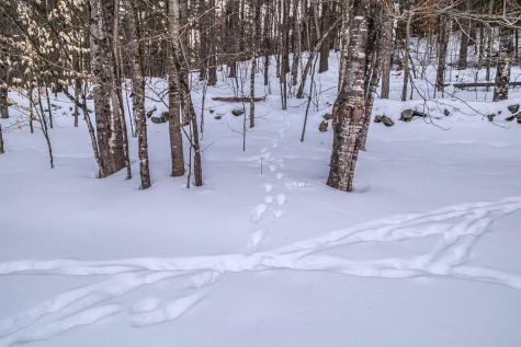 234 Buckfield Road Hebron ME 04238