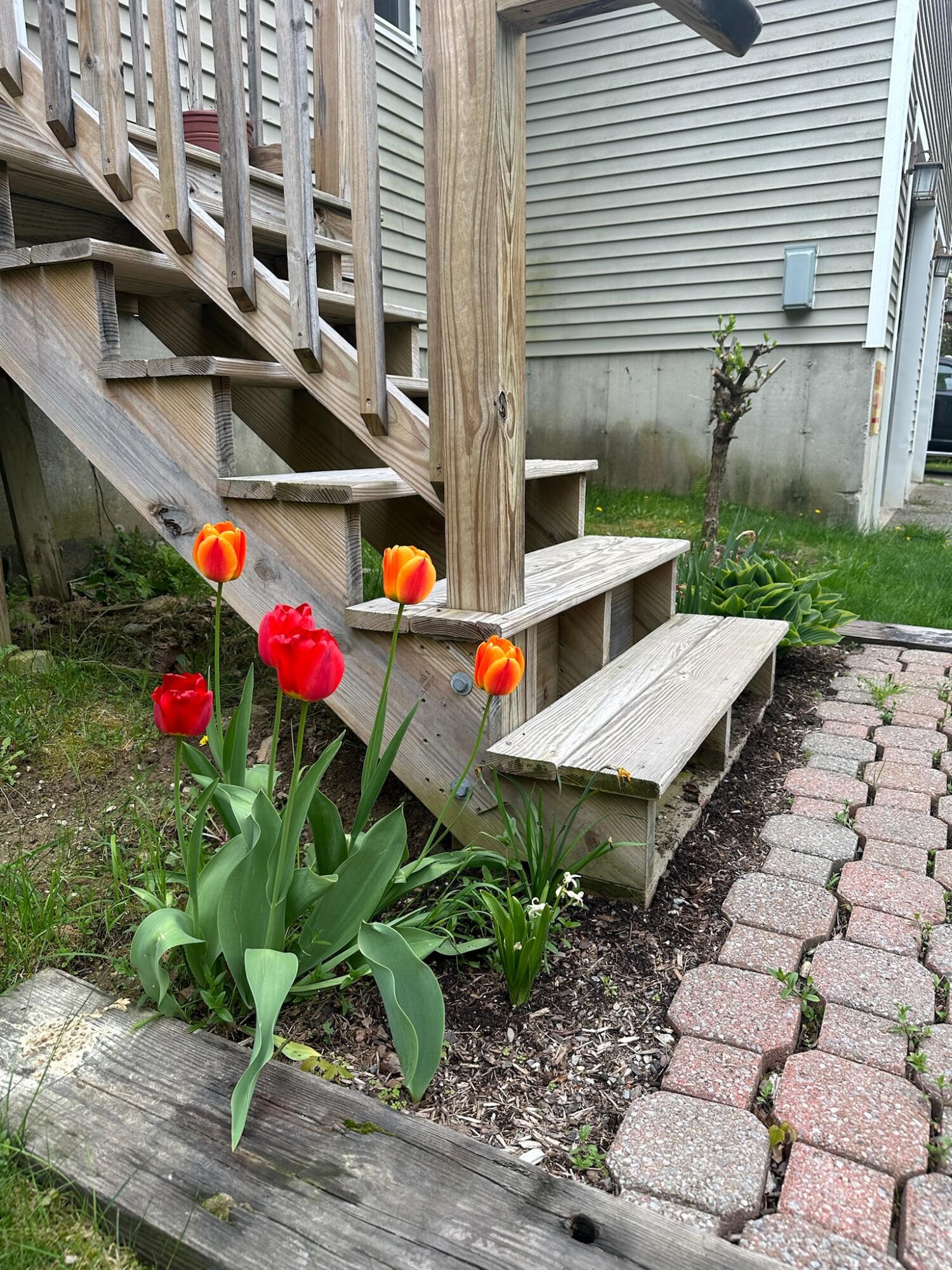 474 Leaches Point Road Orland ME 04472