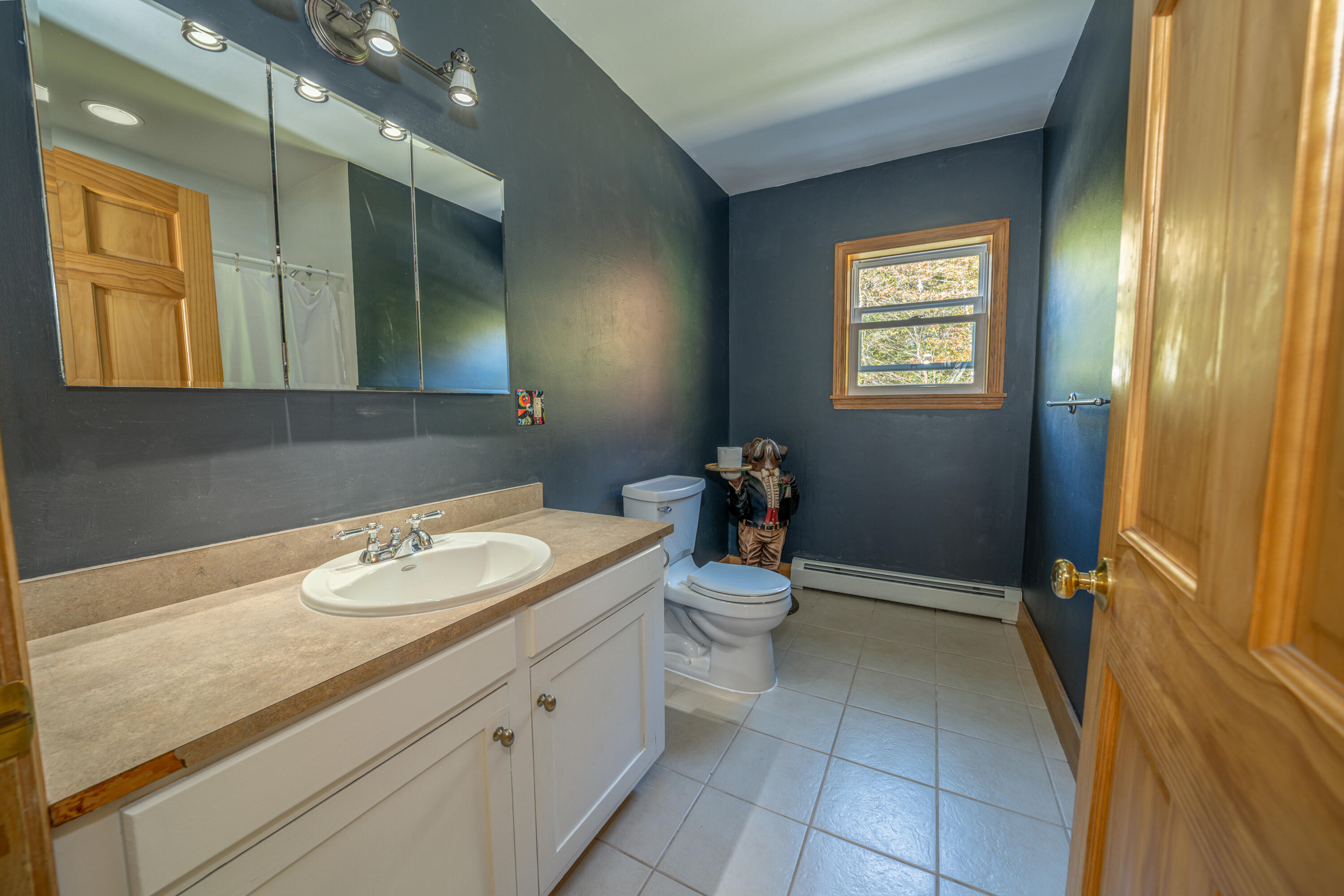 474 Leaches Point Road Orland ME 04472