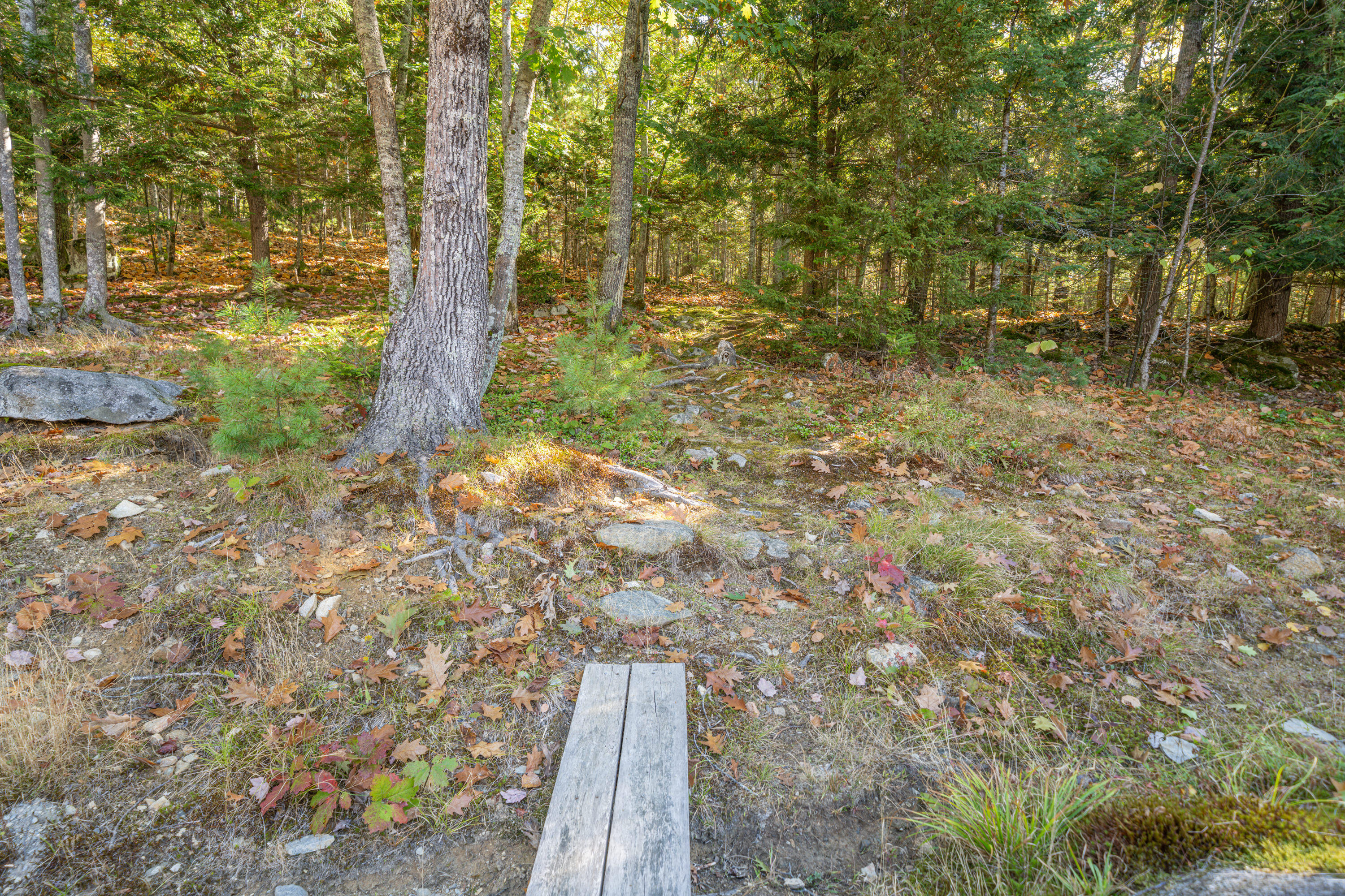 474 Leaches Point Road Orland ME 04472