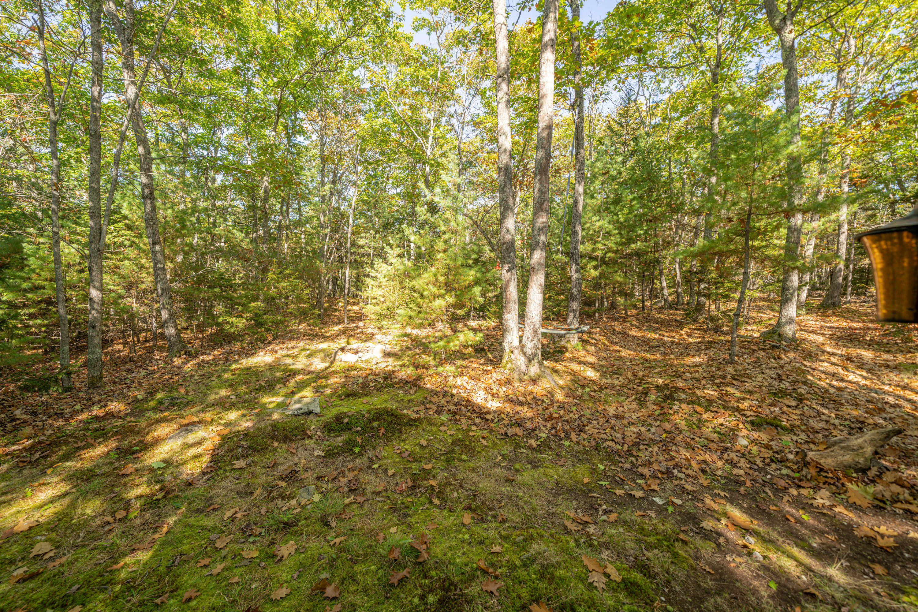 474 Leaches Point Road Orland ME 04472