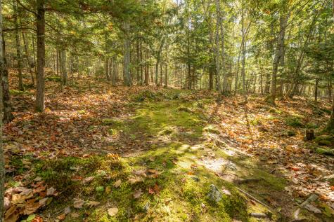 474 Leaches Point Road Orland ME 04472