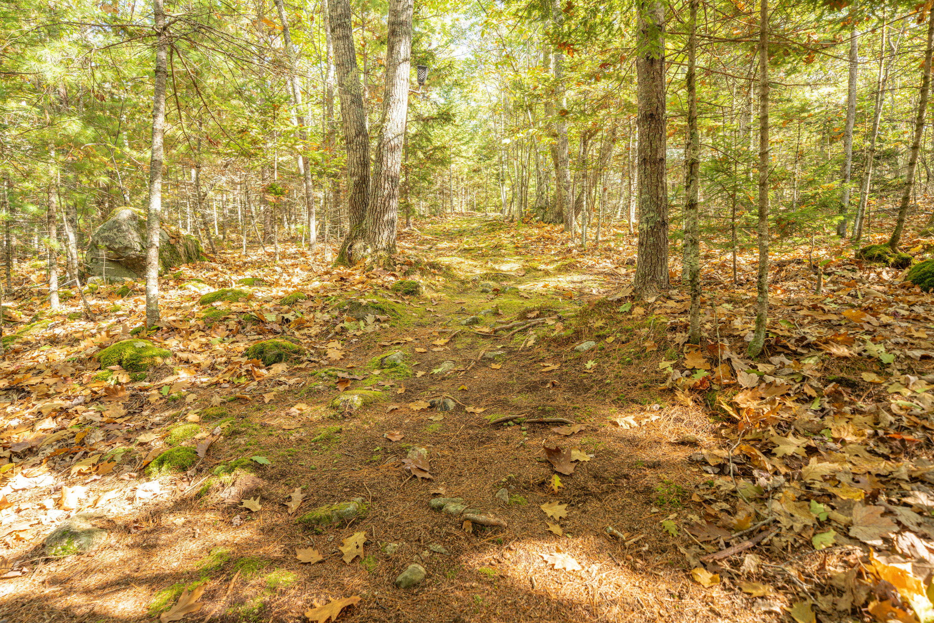 474 Leaches Point Road Orland ME 04472