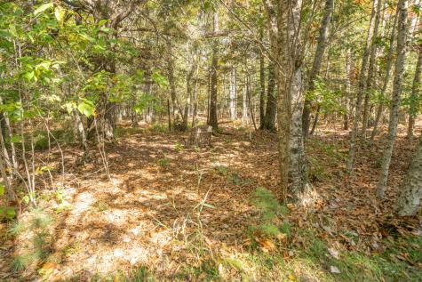 474 Leaches Point Road Orland ME 04472