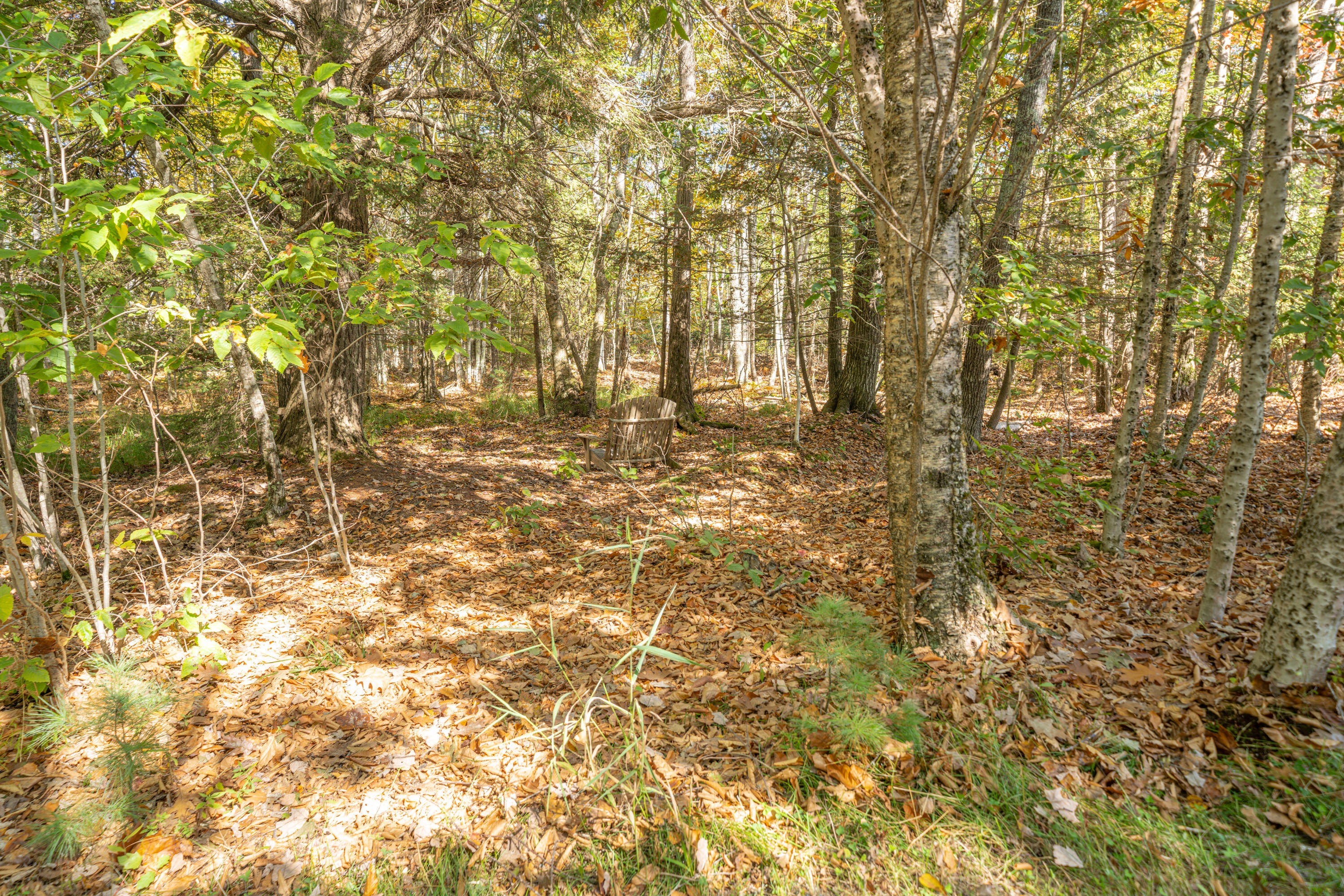 474 Leaches Point Road Orland ME 04472