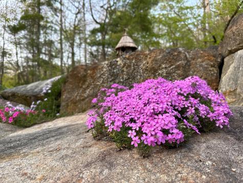 474 Leaches Point Road Orland ME 04472