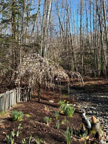 474 Leaches Point Road Orland ME 04472