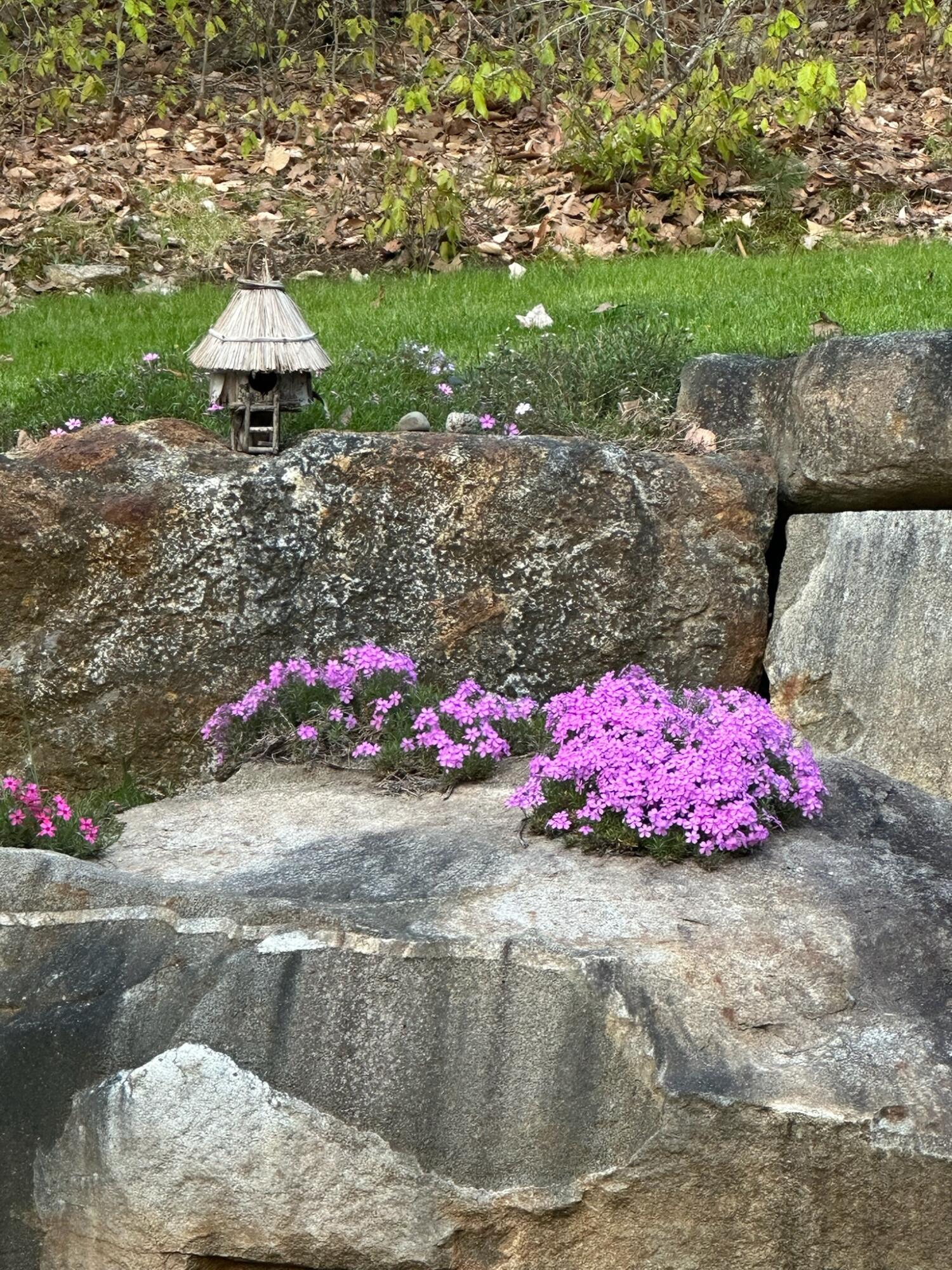 474 Leaches Point Road Orland ME 04472