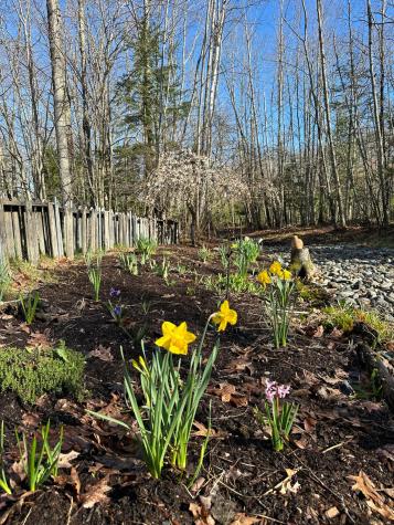 474 Leaches Point Road Orland ME 04472