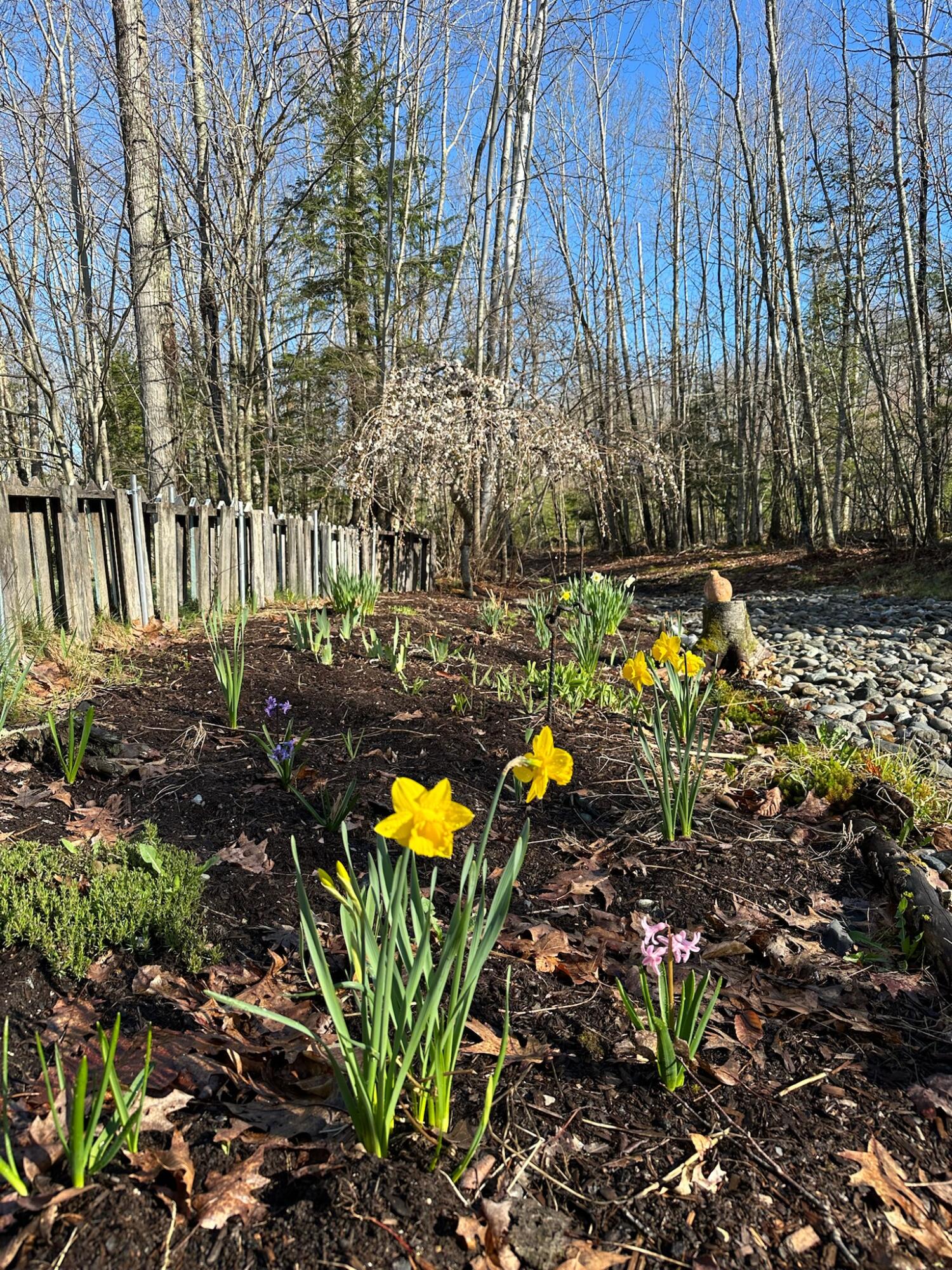 474 Leaches Point Road Orland ME 04472