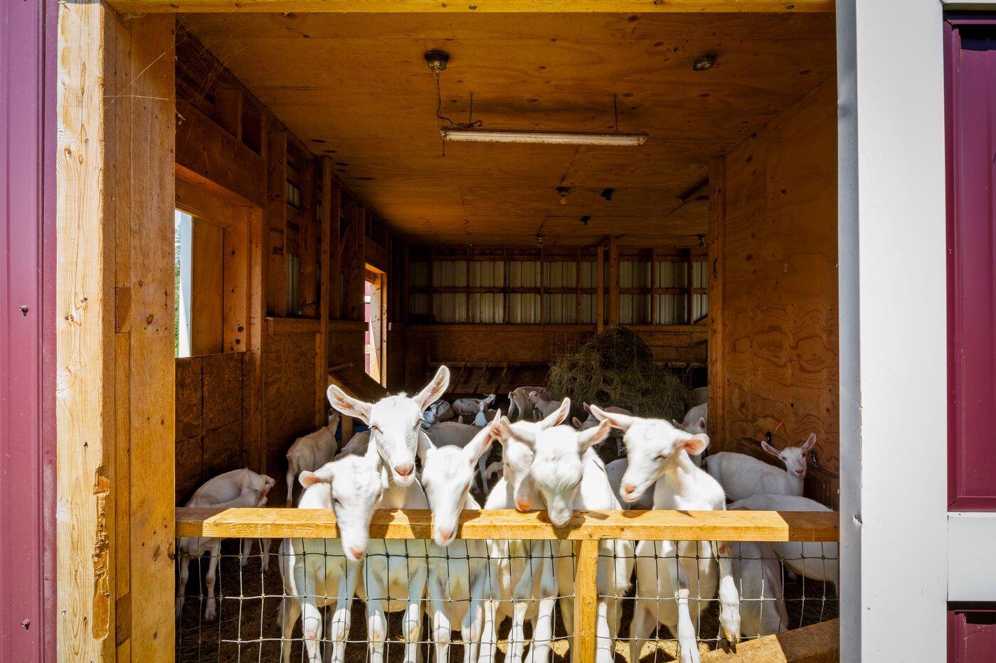 60 Danforth Road China ME 04358