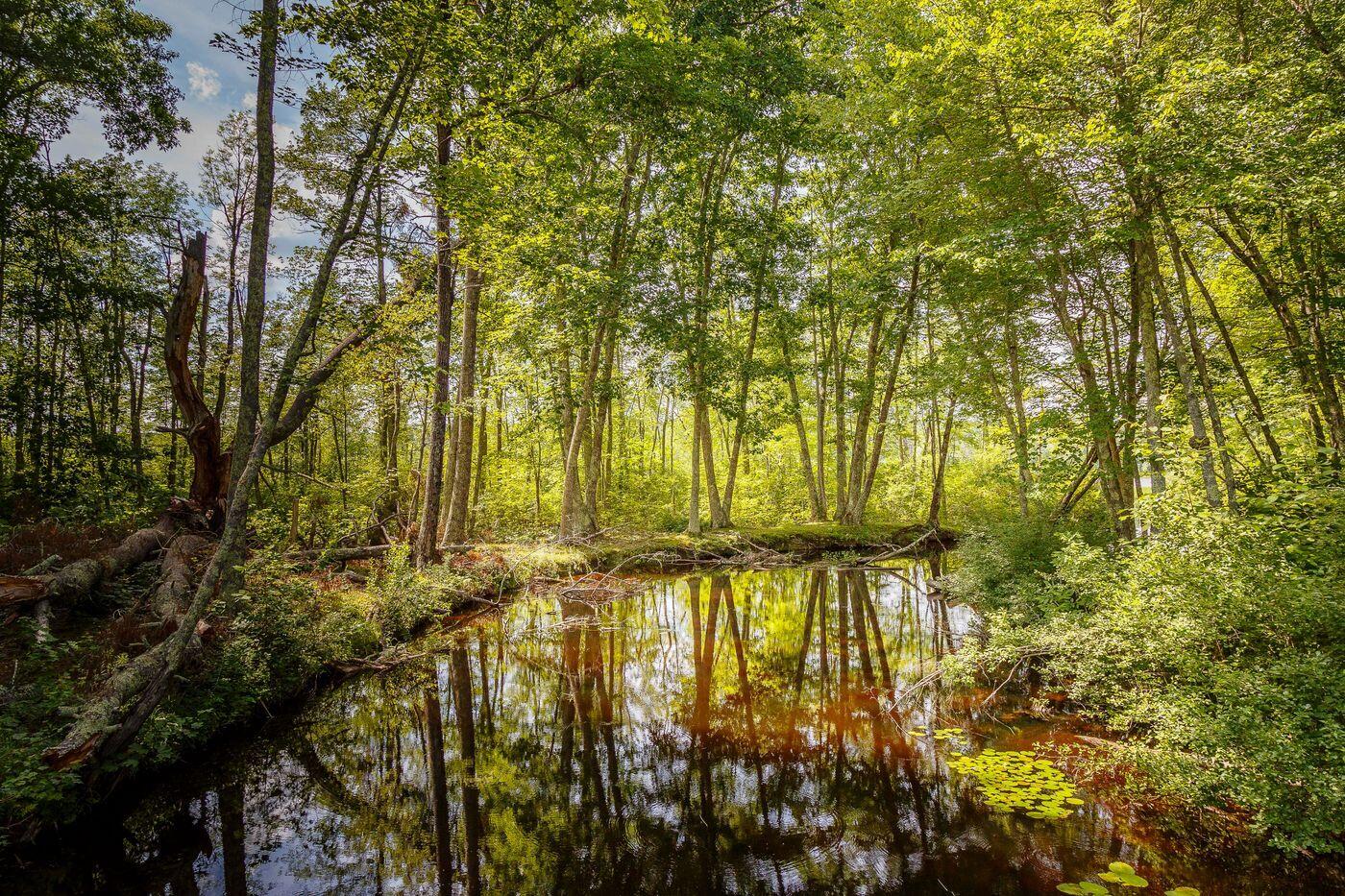 60 Danforth Road China ME 04358