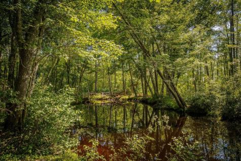 60 Danforth Road China ME 04358