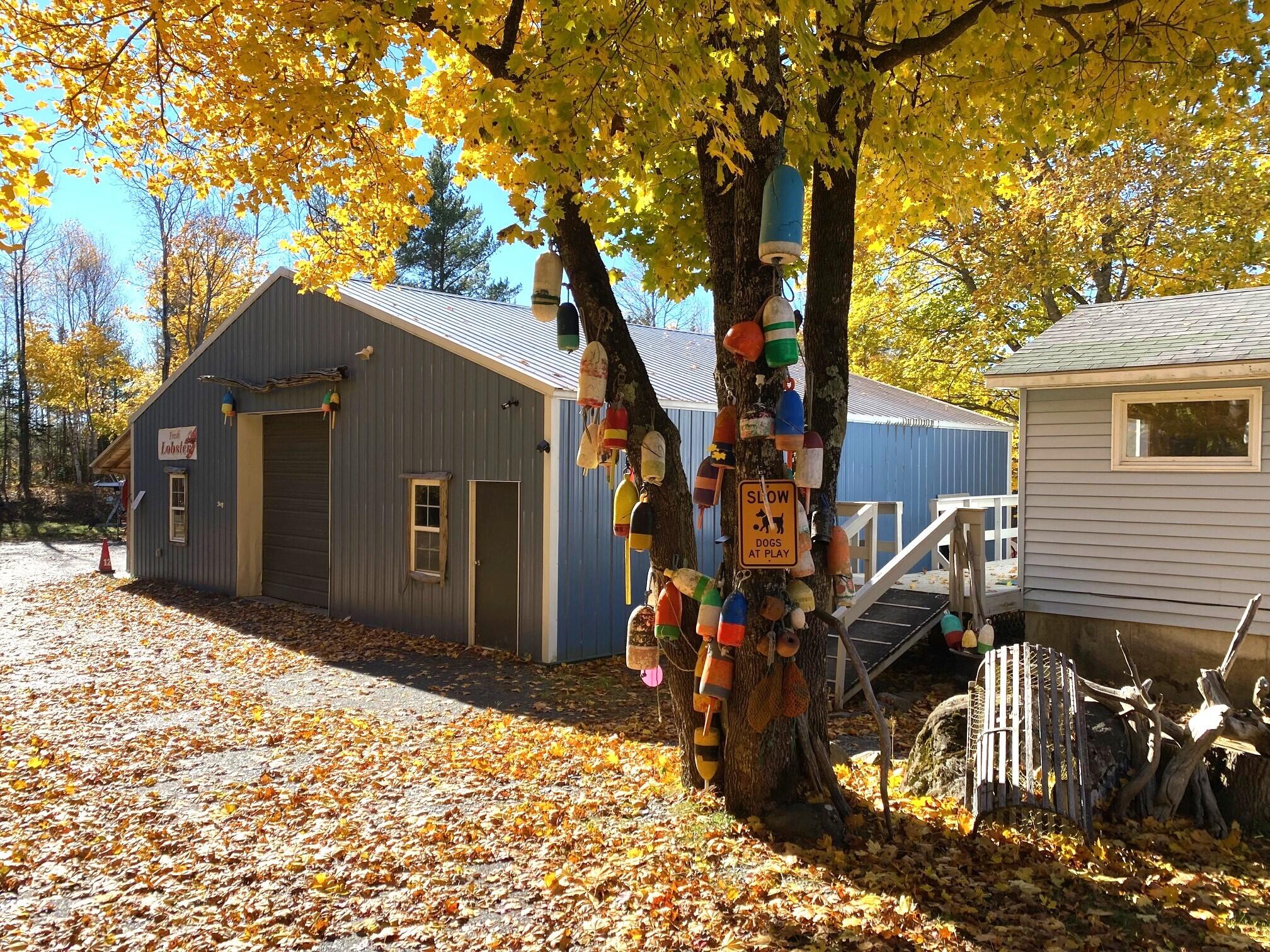 384 Pritham Avenue Greenville ME 04441