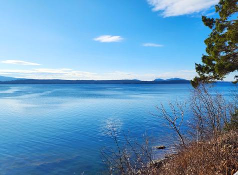 43 Stillmeadow Lane Trenton ME 04605