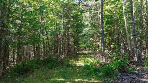 0 Dragonfly Drive Holden ME 04429