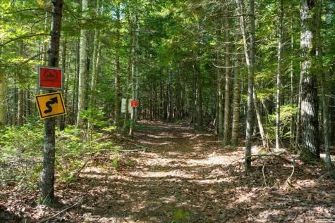 0 Dragonfly Drive Holden ME 04429