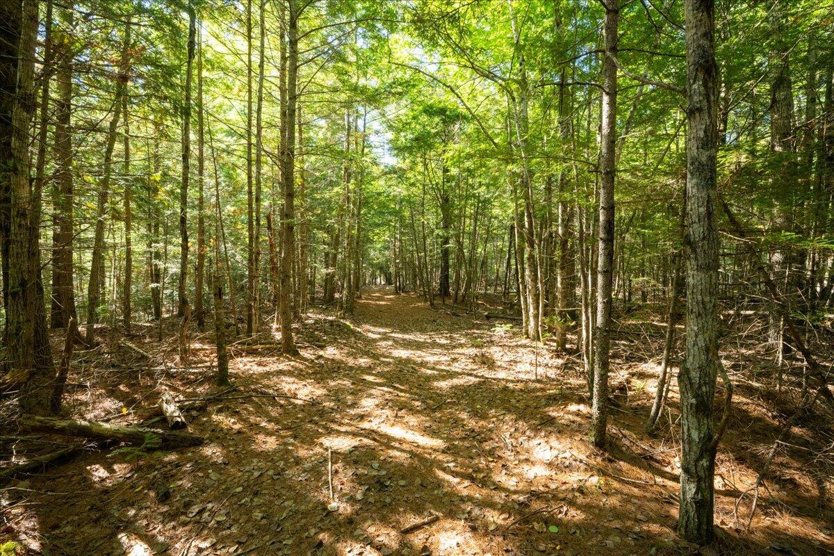 0 Dragonfly Drive Holden ME 04429