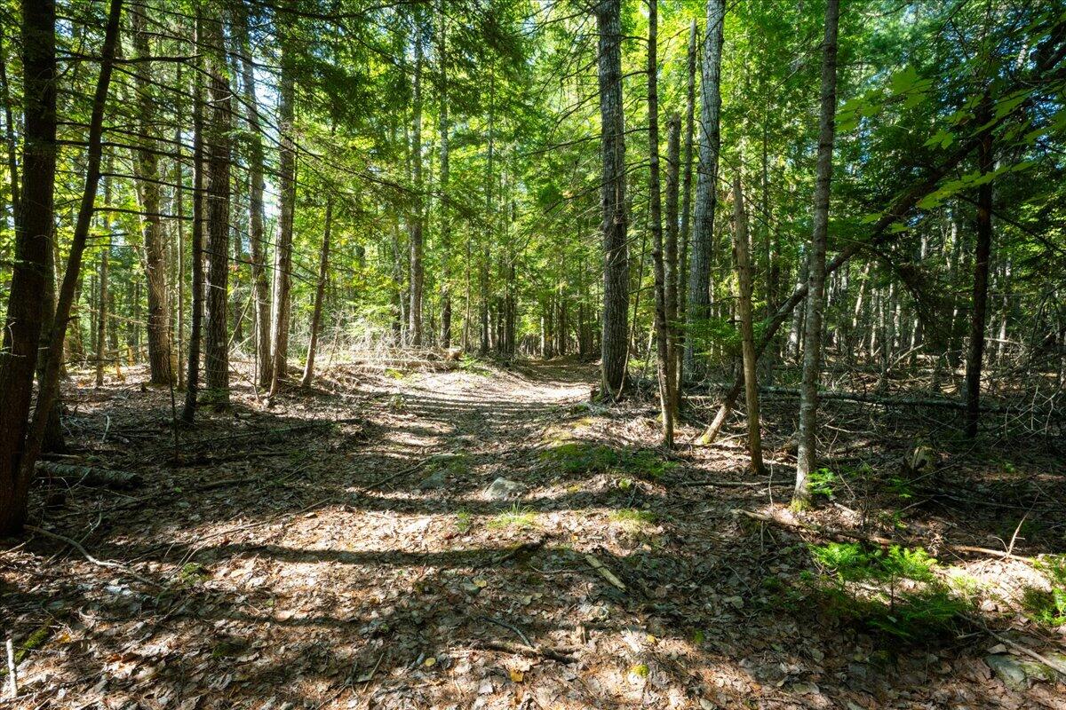 0 Dragonfly Drive Holden ME 04429