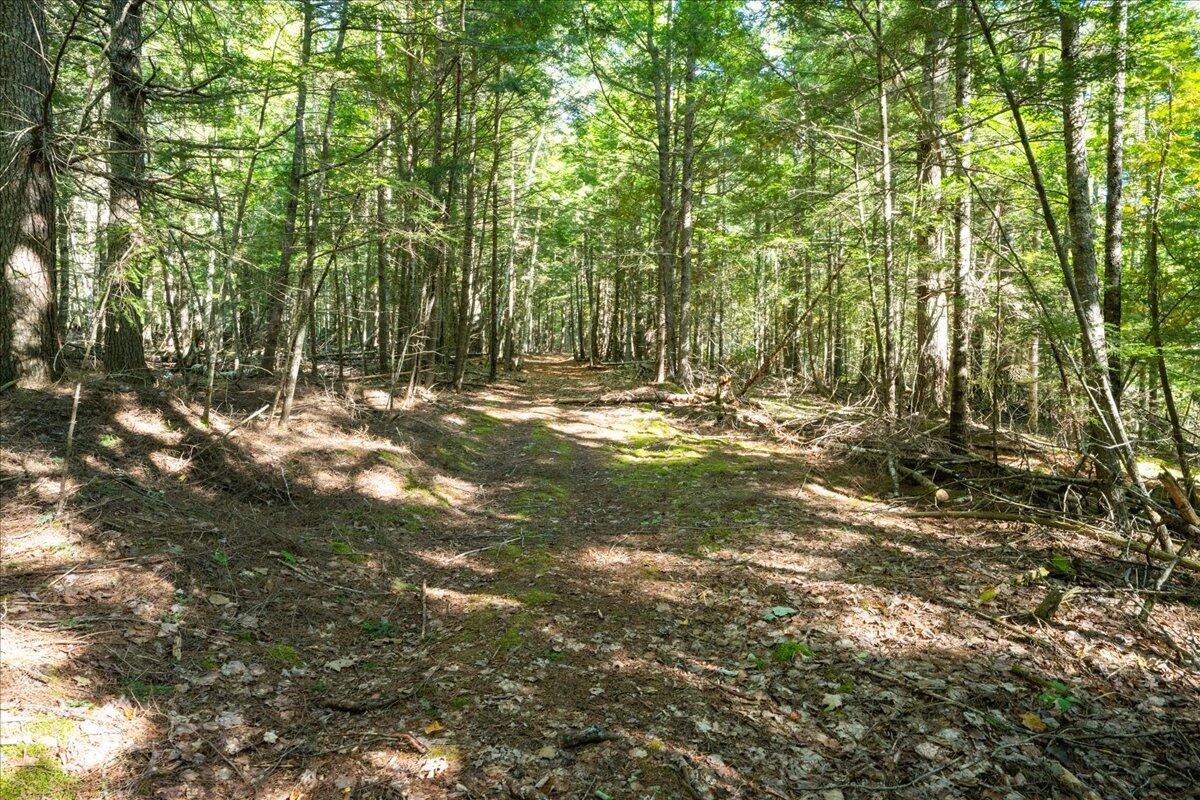 0 Dragonfly Drive Holden ME 04429