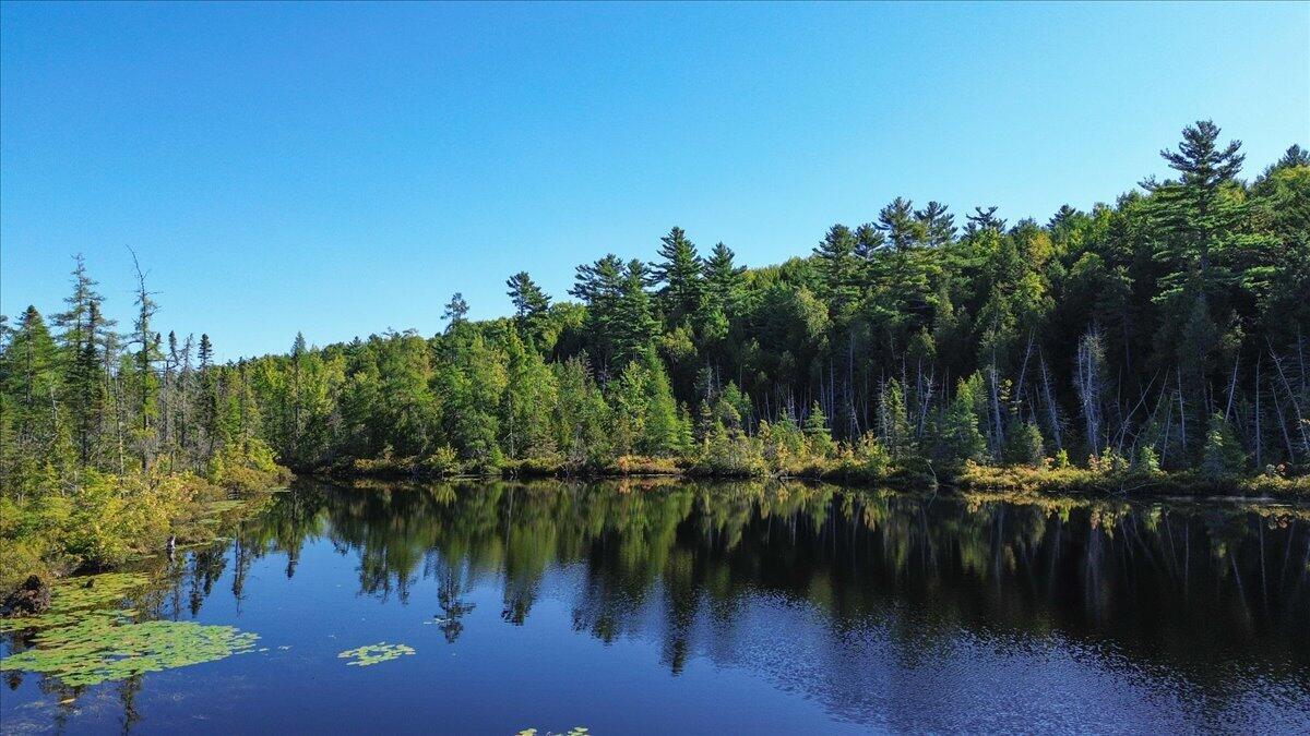 0 Dragonfly Drive Holden ME 04429