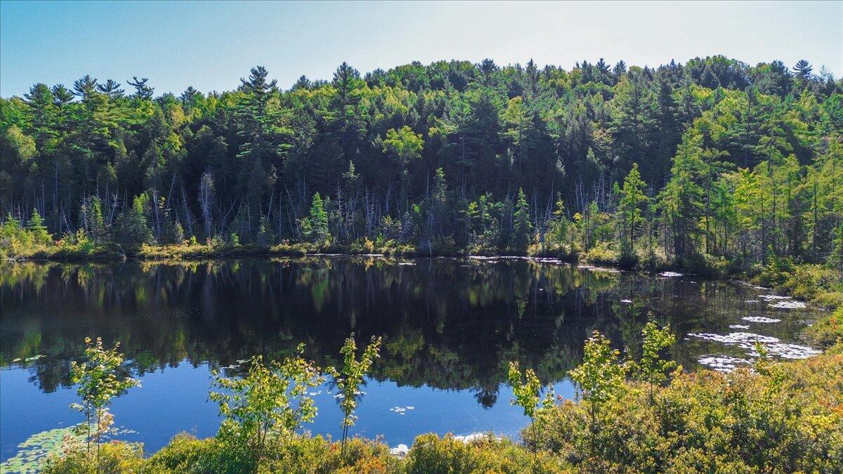 0 Dragonfly Drive Holden ME 04429