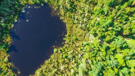 0 Dragonfly Drive Holden ME 04429