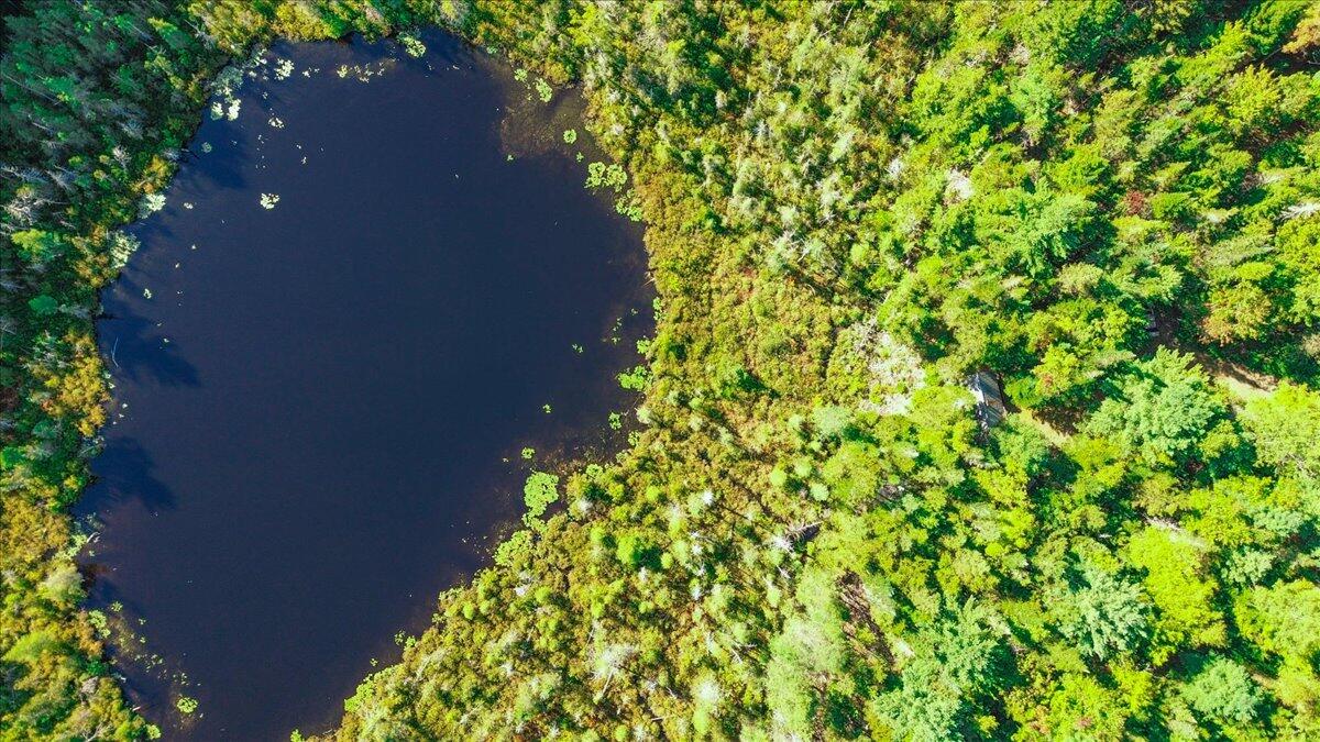 0 Dragonfly Drive Holden ME 04429