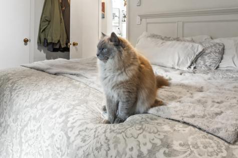 73 Forest Lake Road Friendship ME 04547