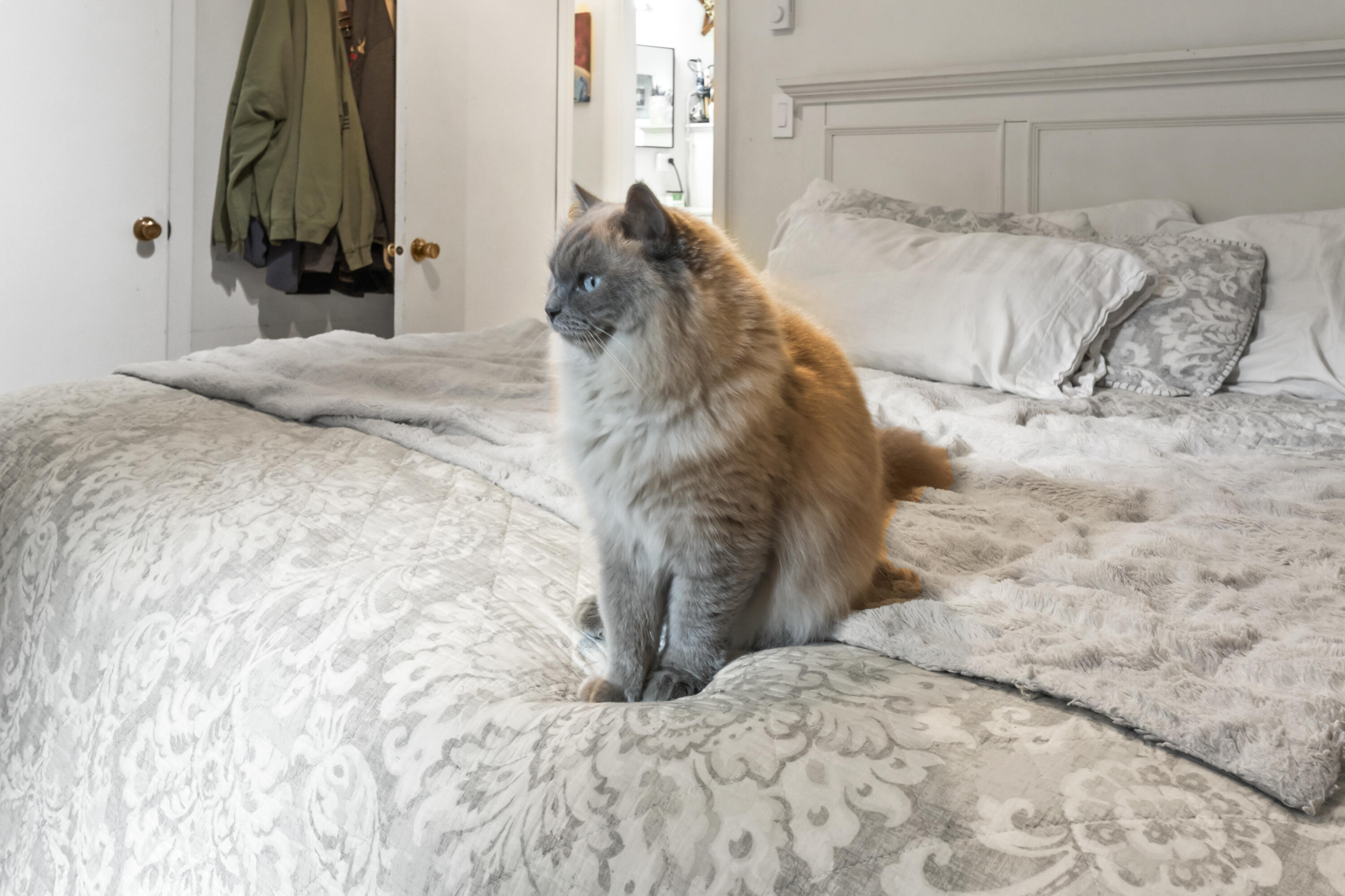 73 Forest Lake Road Friendship ME 04547